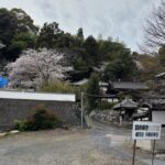 【はなうたのデイ清水】🌸桜を眺めながら、のんびり春のドライブ🚗